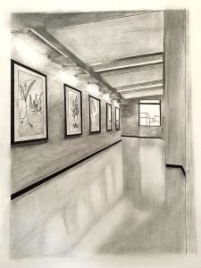 Black and white drawing of art gallery